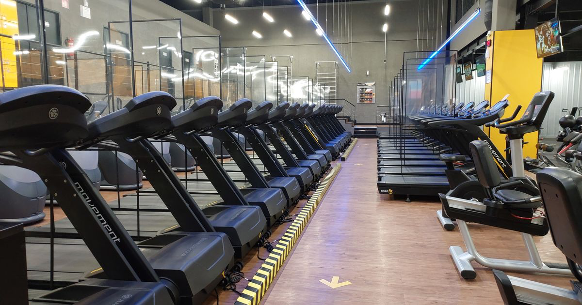 Row of treadmills in a quiet modern gym, illustrating how many days a week to go to the gym